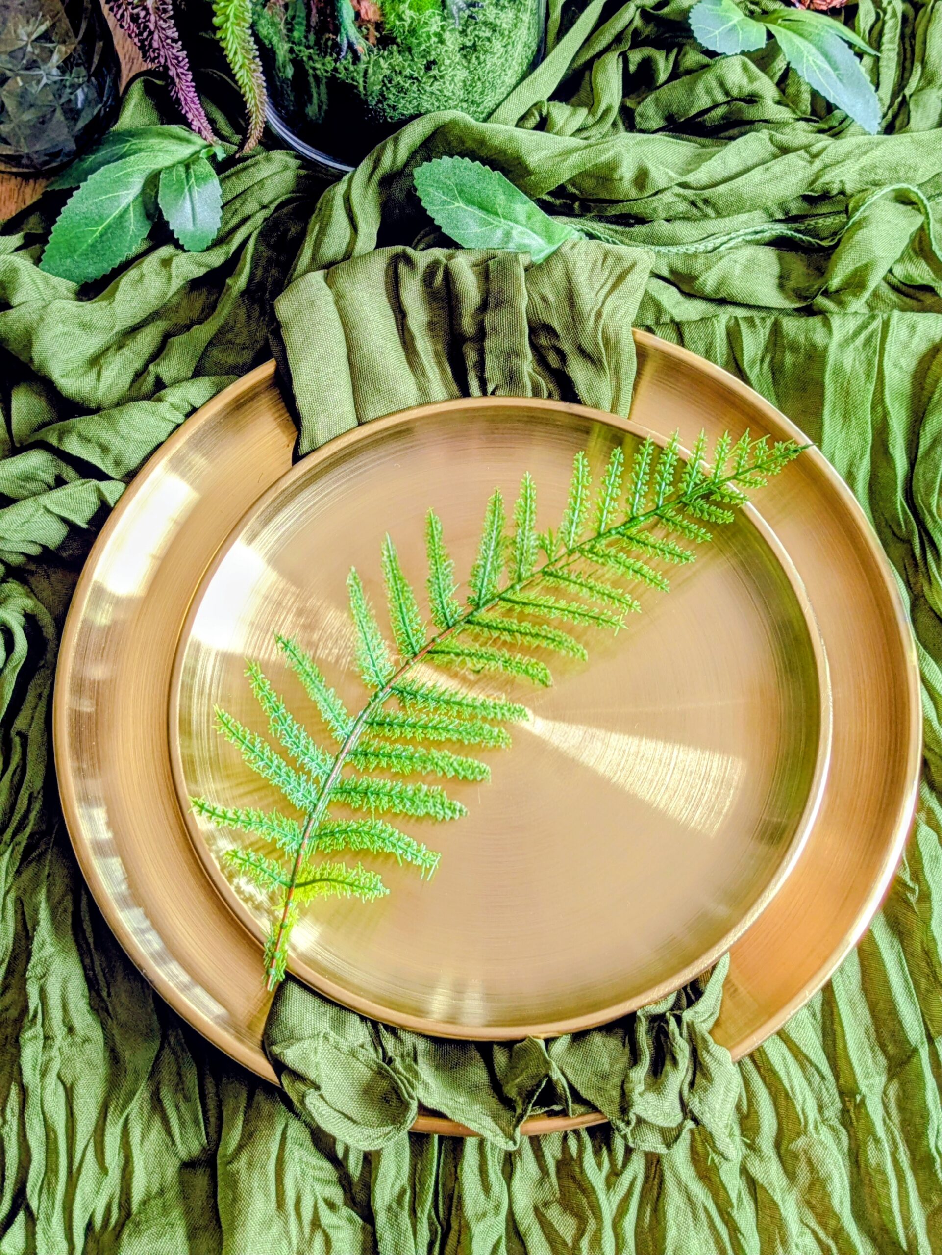 dino plate