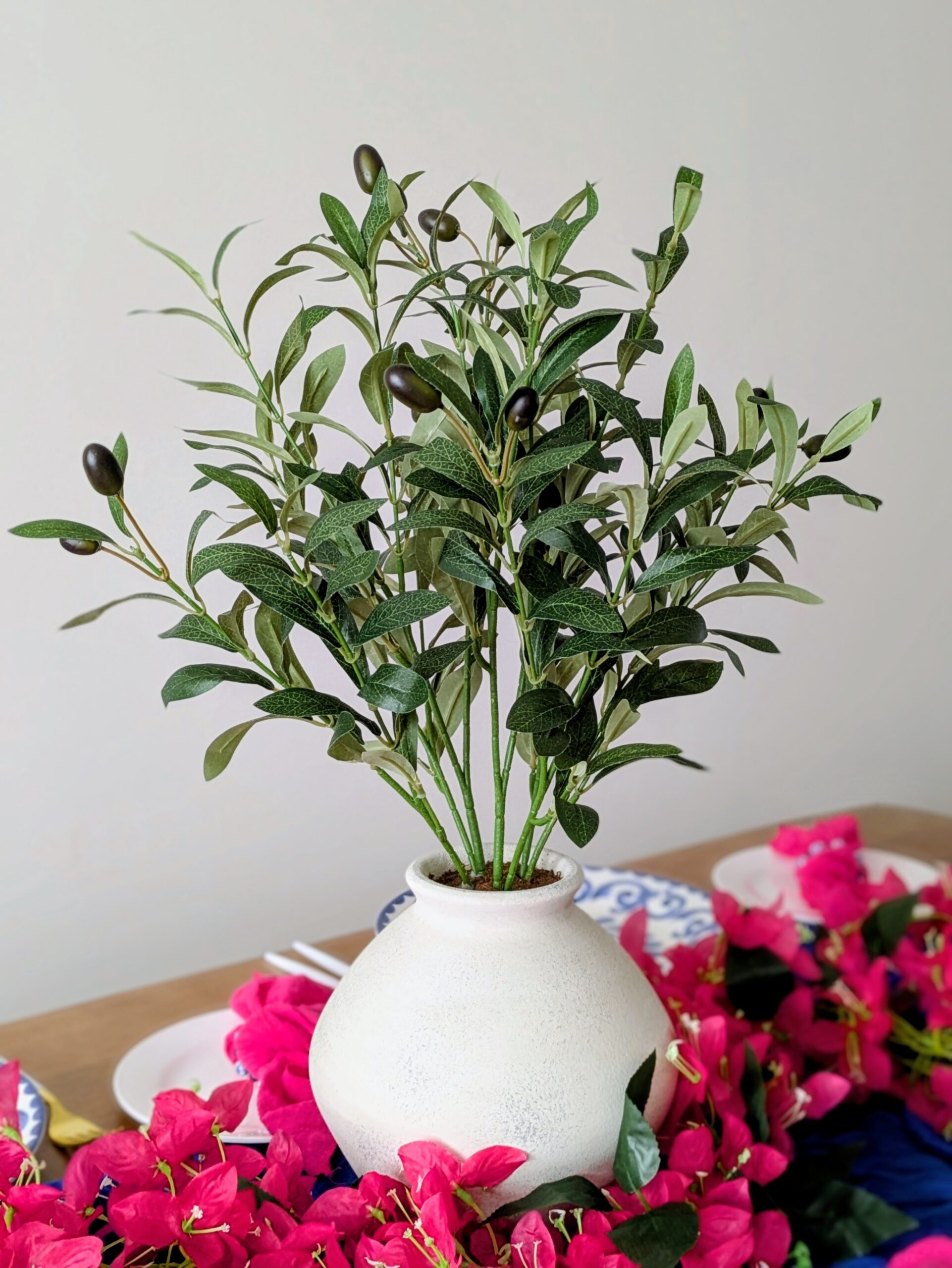 greekscape olive tree